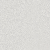 Lightgrey